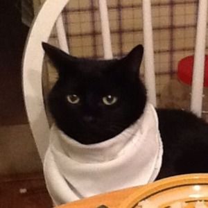 Meet your Posher, Jack